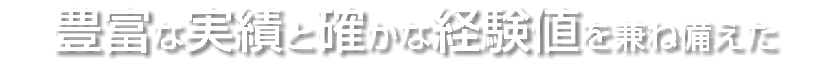 豊富な実績と確かな経験値を兼ね備えた